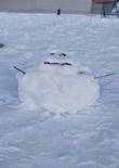 20230104_110538 (Large).jpg (310378 bytes)